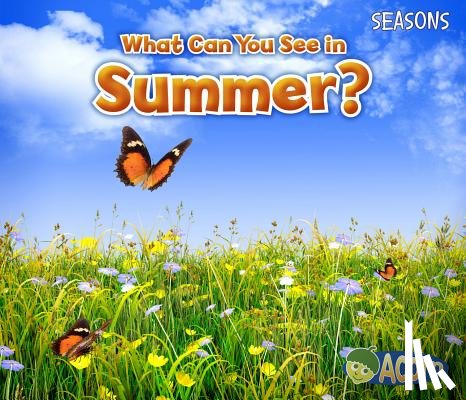Smith, Sian - What Can You See in Summer?