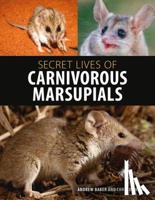 Baker, Andrew, Dickman, Chris - Secret Lives of Carnivorous Marsupials