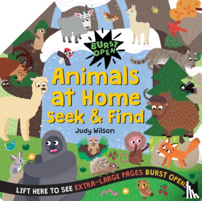 Wilson, Judy - Animals at Home Seek & Find