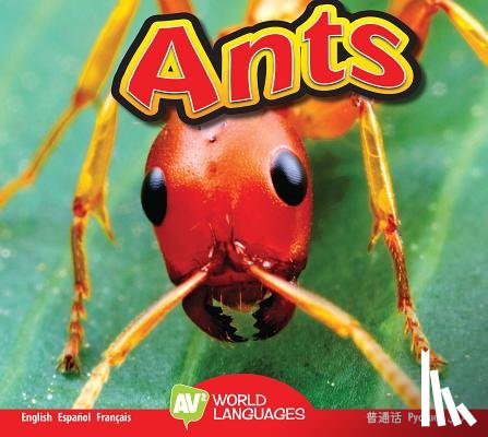 Carr, Aaron - Ants