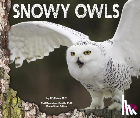 Hill, Melissa - Snowy Owls