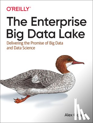 Gorelik, Alex - The Enterprise Big Data Lake