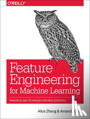 Zheng, Alice - Feature Engineering for Machine Learning