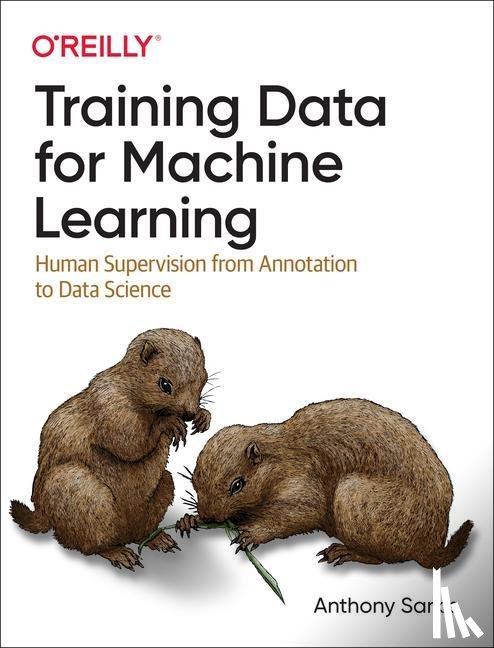 Sarkis, Anthony - Training Data for Machine Learning