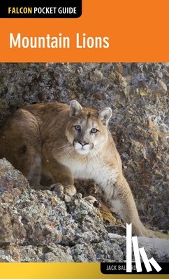 Ballard, Jack - Mountain Lions
