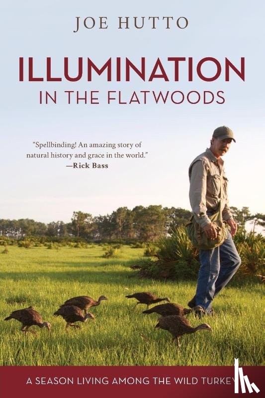 Hutto, Joe - Illumination in the Flatwoods