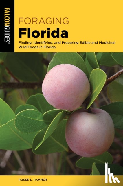 Hammer, Roger L. - Foraging Florida