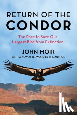 Moir, John - Return of the Condor