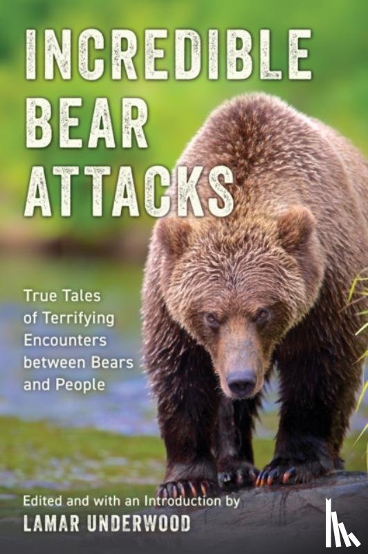  - Incredible Bear Attacks