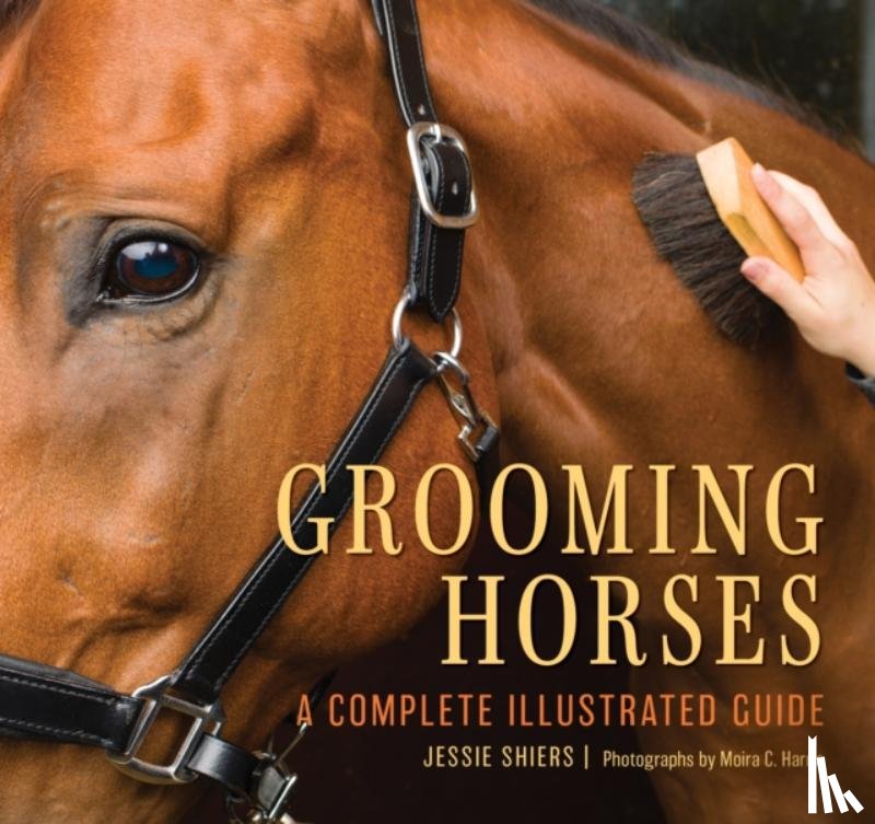 Shiers, Jessie - Grooming Horses
