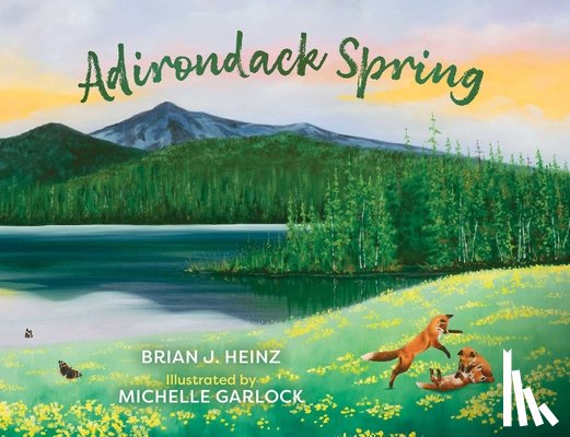 Heinz, Brian J. - Adirondack Spring