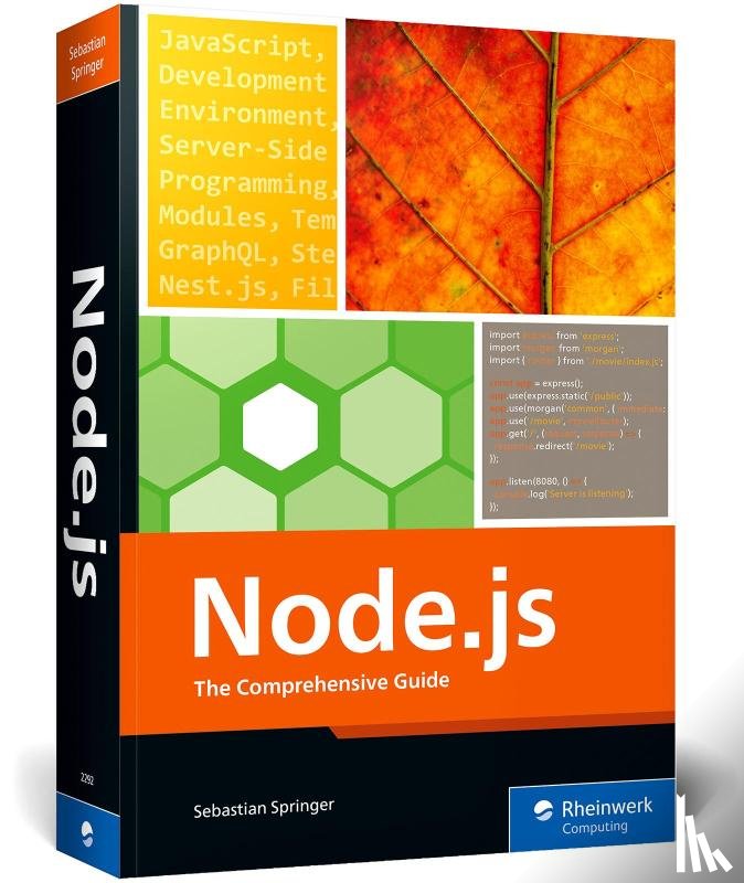 Springer, Sebastian - Node.js