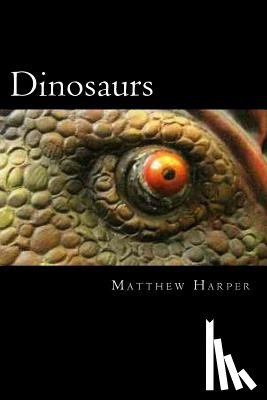 Harper, Matthew - Dinosaurs: A Fascinating Book Containing Dinosaur Facts, Trivia, Images & Memory Recall Quiz: Suitable for Adults & Children
