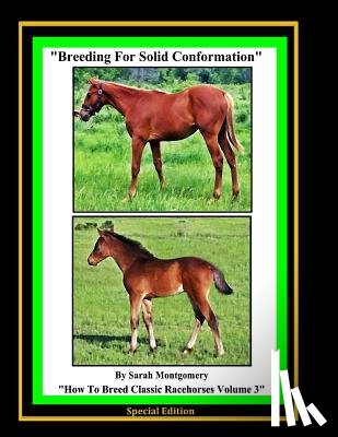 Montgomery, Sarah A. - Breeding For Solid Conformation