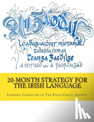 Steering Committee of the Philo-Celtic S - 20-Month Strategy for the Irish Language