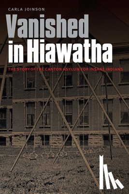 Joinson, Carla - Vanished in Hiawatha