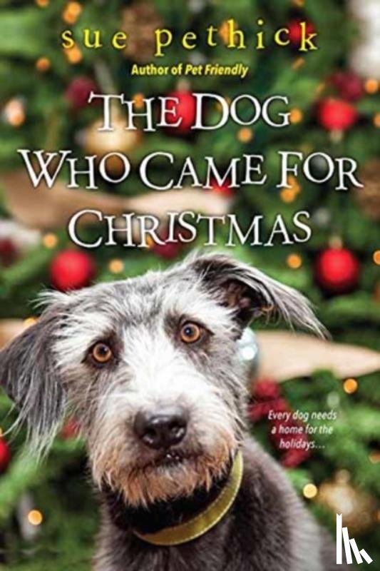 Pethick, Sue - The Dog Who Came for Christmas