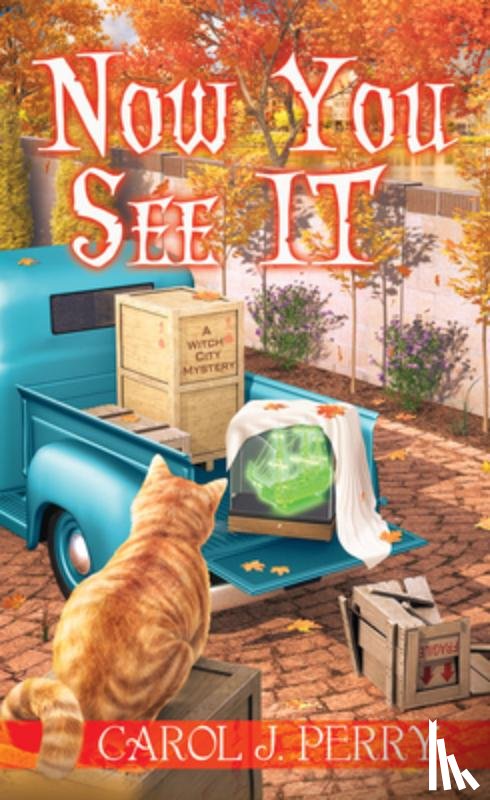 Perry, Carol J. - Now You See It