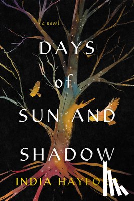 Hayford, India - Days of Sun and Shadow