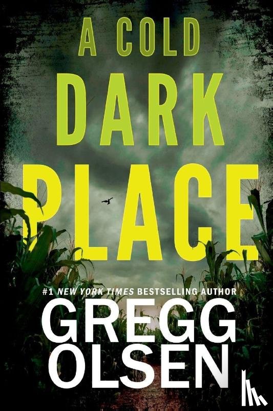 Olsen, Gregg - A Cold Dark Place