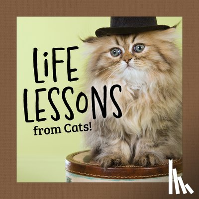 Peterson, Grace - Life Lessons from Cats