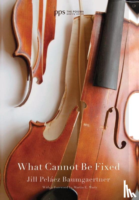 Baumgaertner, Jill Pelaez - What Cannot Be Fixed