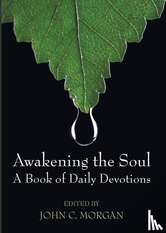 Morgan, John C - Awakening the Soul