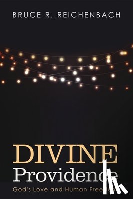Reichenbach, Bruce R - Divine Providence