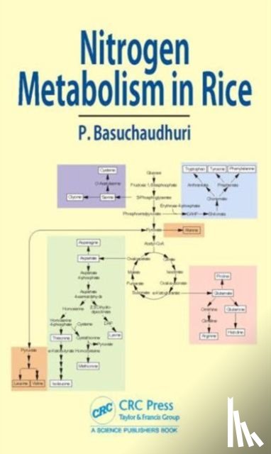 Basuchaudhuri, Pranab (Indian Council of Agricultural Research (Retired) - Nitrogen Metabolism in Rice
