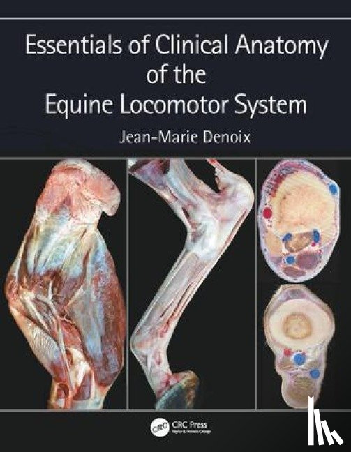 Denoix, Jean-Marie (CIRALE-Hippolia - Essentials of Clinical Anatomy of the Equine Locomotor System