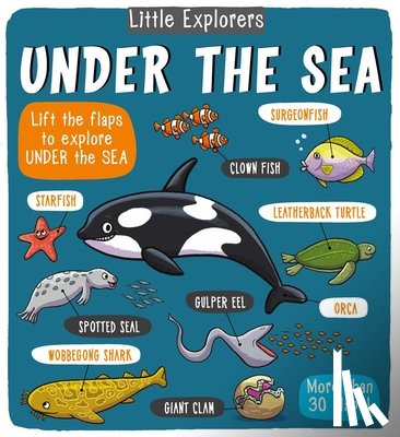 Little Bee Books - Little Explorers: Under the Sea