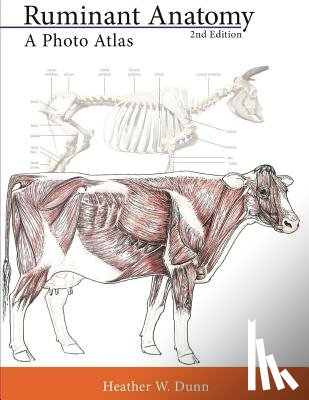 Dunn, Heather W. - Ruminant Anatomy: A Photo Atlas