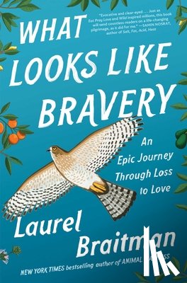 Braitman, Laurel - What Looks Like Bravery