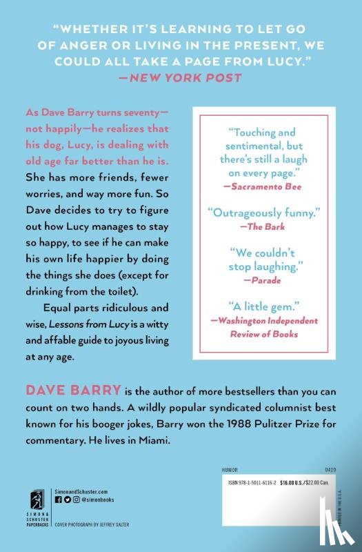 Barry, Dave - Lessons From Lucy