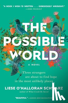 Schwarz, Liese O'Halloran - The Possible World