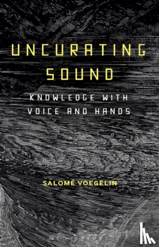 Voegelin, Dr Salome (Professor - Uncurating Sound