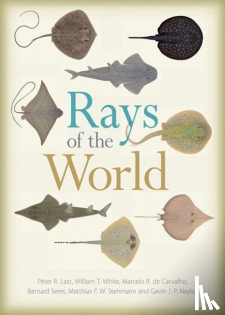  - Rays of the World
