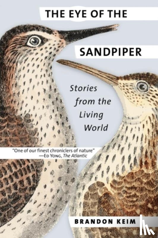 Keim, Brandon - The Eye of the Sandpiper