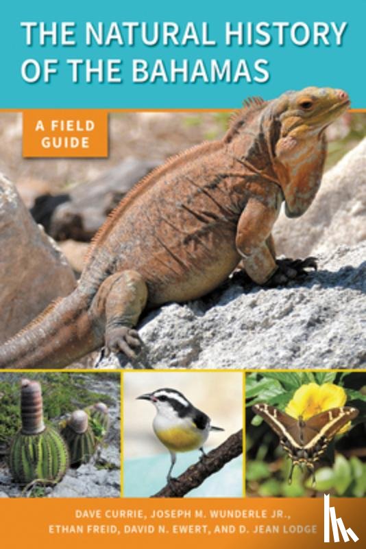 Currie, Dave, Wunderle, Joseph M., Freid, Ethan, Ewert, David N. - The Natural History of The Bahamas