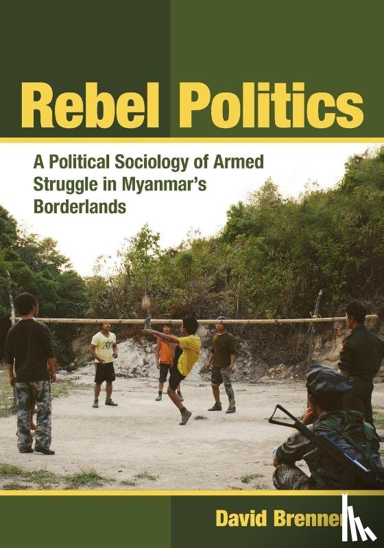 Brenner, David - Rebel Politics