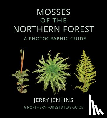 Jenkins, Jerry - Mosses of the Northern Forest