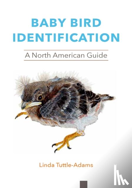 Tuttle-Adams, Linda - Baby Bird Identification