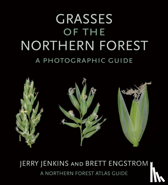 Jenkins, Jerry, Engstrom, Brett - Grasses of the Northern Forest