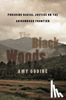 Godine, Amy - The Black Woods: Pursuing Racial Justice on the Adirondack Frontier