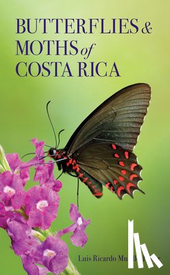 Murillo-Hiller, Luis Ricardo - Butterflies and Moths of Costa Rica