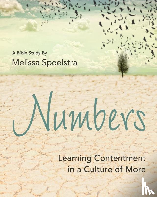 Spoelstra, Melissa - Numbers - Women's Bible Study Participant Workbook
