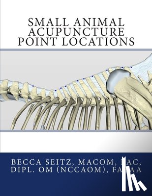 Becca Seitz LAc, Seitz LAc - Small Animal Acupuncture Point Locations