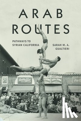 Gualtieri, Sarah M. A. - Arab Routes