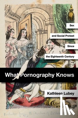 Lubey, Kathleen - What Pornography Knows