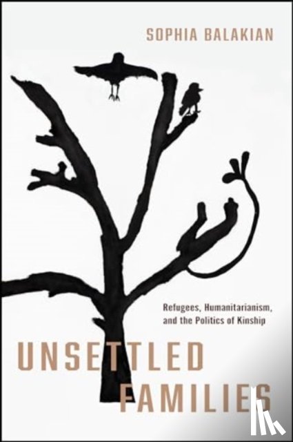 Balakian, Sophia - Unsettled Families